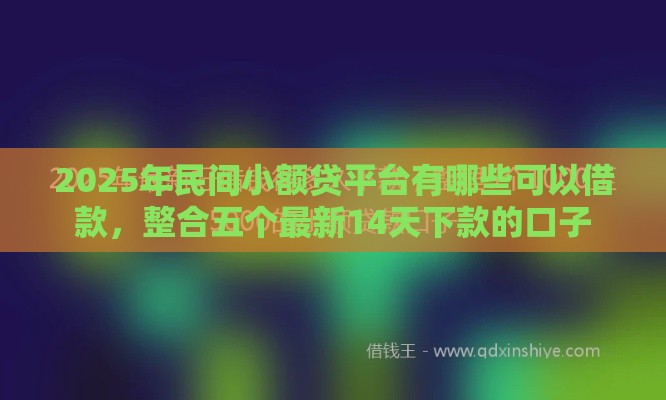 2025年民间小额贷平台有哪些可以借款，整合五个最新14天下款的口子