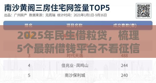 2025年民生借粒贷，梳理5个最新借钱平台不看征信容易通过