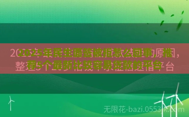 2025年民生面签被拒怎么回事，推荐5个最新比较容易贷款的平台