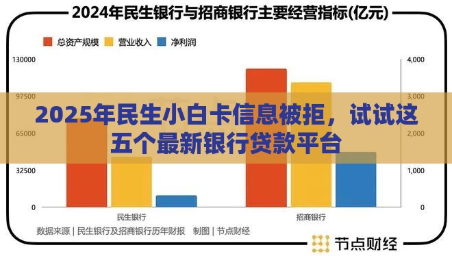 2025年民生小白卡信息被拒，试试这五个最新银行贷款平台