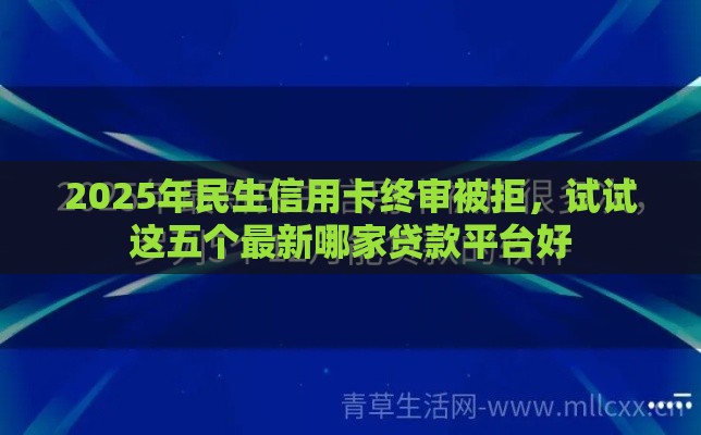 2025年民生信用卡终审被拒，试试这五个最新哪家贷款平台好
