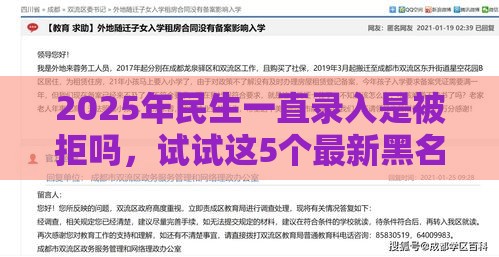 2025年民生一直录入是被拒吗，试试这5个最新黑名单能借到的网贷平台