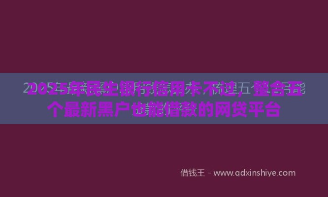 2025年民生银行信用卡不过，整合五个最新黑户也能借款的网贷平台
