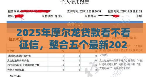 2025年摩尔龙贷款看不看征信，整合五个最新2025黑户逾期百分百能下款的口子