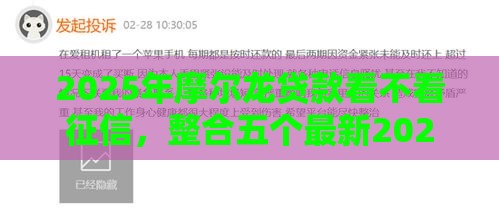 2025年摩尔龙贷款看不看征信，整合五个最新2025黑户逾期百分百能下款的口子