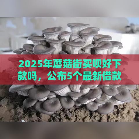 2025年蘑菇街买呗好下款吗，公布5个最新借款平台借钱最靠谱