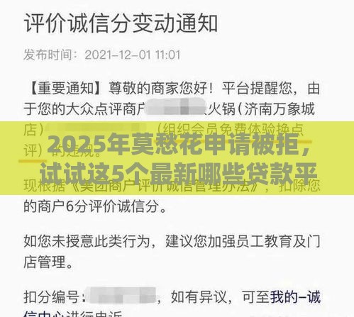 2025年莫愁花申请被拒，试试这5个最新哪些贷款平台容易通过