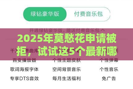 2025年莫愁花申请被拒，试试这5个最新哪些贷款平台容易通过