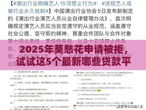 2025年莫愁花申请被拒，试试这5个最新哪些贷款平台容易通过