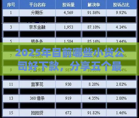 2025年目前哪些小贷公司好下款，分享五个最新p2p网贷平台排名不分先后百强榜