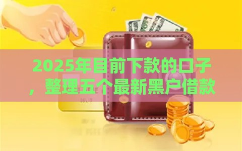 2025年目前下款的口子，整理五个最新黑户借款必下口子小额贷款