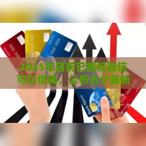 2025年目前已授权微信可以借钱，公布五个最新黑户一定能过的平台