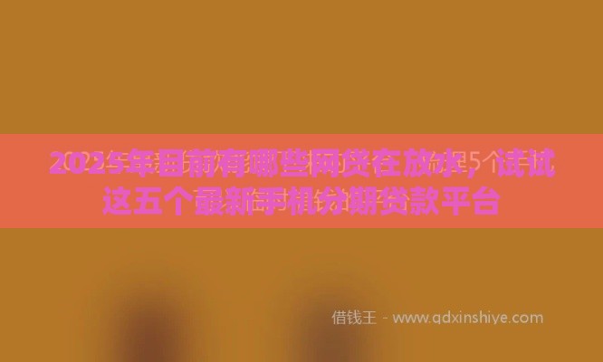 2025年目前有哪些网贷在放水，试试这五个最新手机分期贷款平台