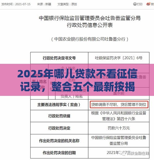 2025年哪儿贷款不看征信记录，整合五个最新按揭车贷款平台