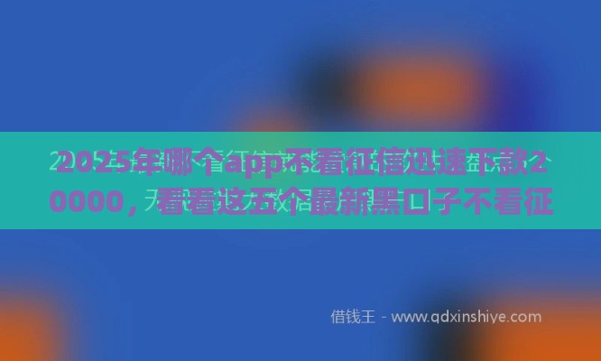 2025年哪个app不看征信迅速下款20000，看看这五个最新黑口子不看征信无视大数据