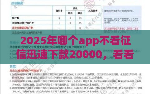 2025年哪个app不看征信迅速下款20000，看看这五个最新黑口子不看征信无视大数据
