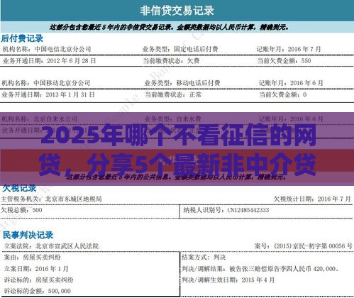 2025年哪个不看征信的网贷，分享5个最新非中介贷款平台