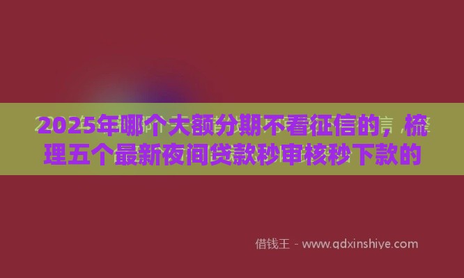 2025年哪个大额分期不看征信的，梳理五个最新夜间贷款秒审核秒下款的平台