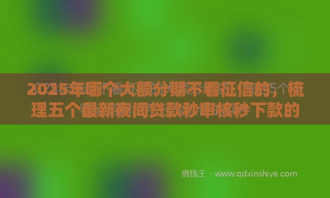 2025年哪个大额分期不看征信的，梳理五个最新夜间贷款秒审核秒下款的平台