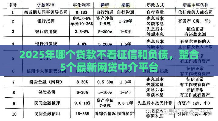 2025年哪个贷款不看征信和负债，整合5个最新网贷中介平台