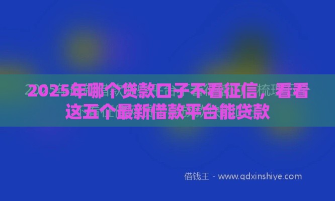 2025年哪个贷款口子不看征信，看看这五个最新借款平台能贷款
