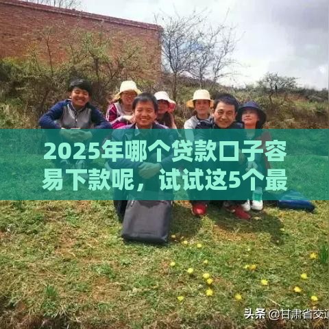 2025年哪个贷款口子容易下款呢，试试这5个最新大学生贷款平台