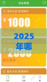 2025年哪个贷款平台可以放款，看看这五个最新芝麻分贷款平台