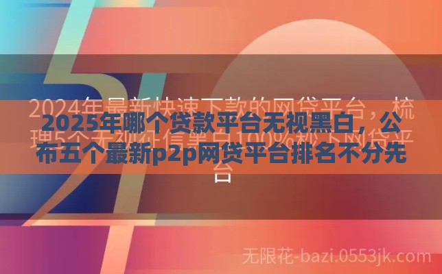 2025年哪个贷款平台无视黑白，公布五个最新p2p网贷平台排名不分先后百强榜