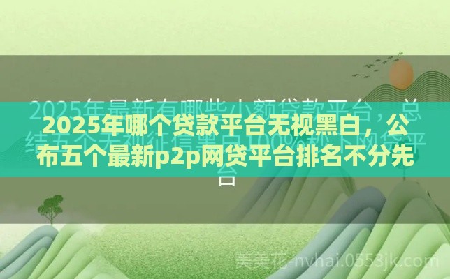 2025年哪个贷款平台无视黑白，公布五个最新p2p网贷平台排名不分先后百强榜