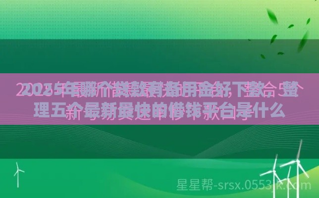 2025年哪个贷款有备用金好下款，整理五个最新最快的借钱平台是什么