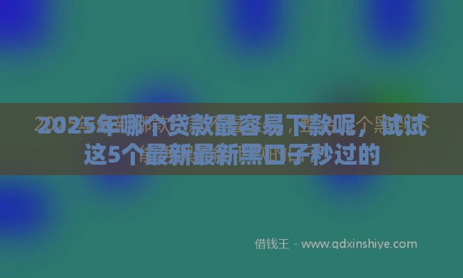 2025年哪个贷款最容易下款呢，试试这5个最新最新黑口子秒过的
