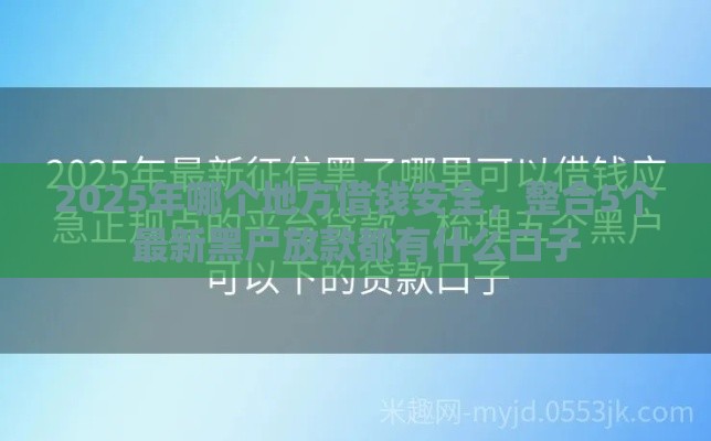 2025年哪个地方借钱安全，整合5个最新黑户放款都有什么口子