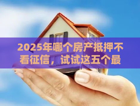 2025年哪个房产抵押不看征信，试试这五个最新小微贷款平台