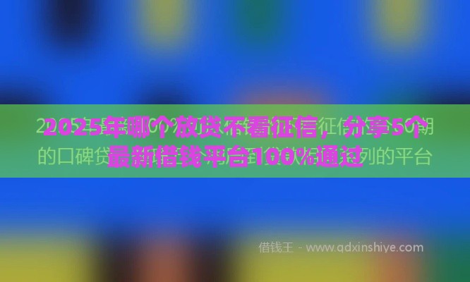 2025年哪个放贷不看征信，分享5个最新借钱平台100%通过