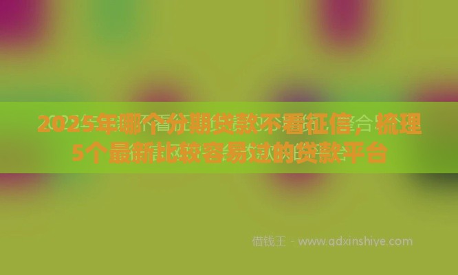 2025年哪个分期贷款不看征信，梳理5个最新比较容易过的贷款平台