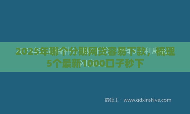 2025年哪个分期网贷容易下款，梳理5个最新1000口子秒下