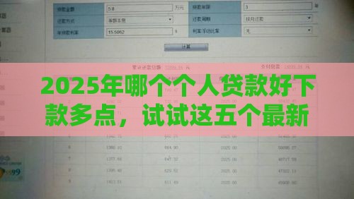2025年哪个个人贷款好下款多点，试试这五个最新利息最低的贷款平台