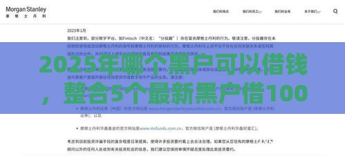 2025年哪个黑户可以借钱，整合5个最新黑户借1000借款平台能放款