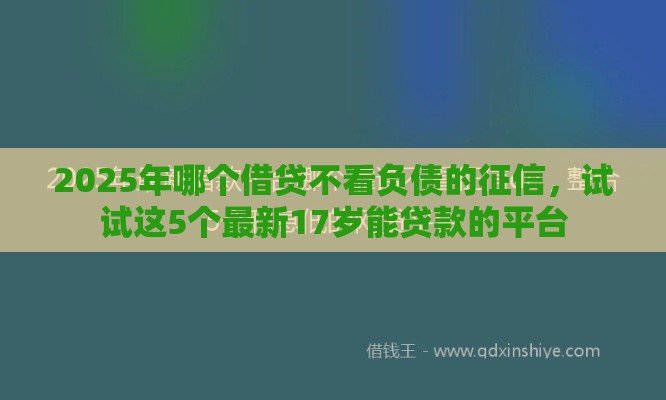 2025年哪个借贷不看负债的征信，试试这5个最新17岁能贷款的平台