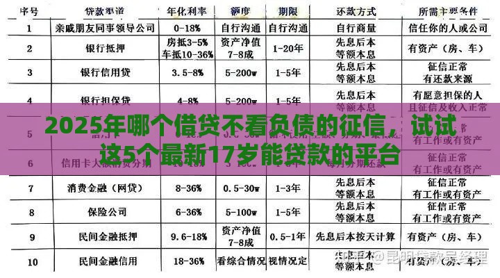 2025年哪个借贷不看负债的征信，试试这5个最新17岁能贷款的平台