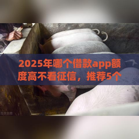 2025年哪个借款app额度高不看征信，推荐5个最新借款平台借钱靠谱