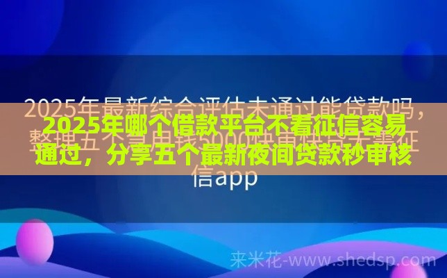 2025年哪个借款平台不看征信容易通过，分享五个最新夜间贷款秒审核秒下款的平台