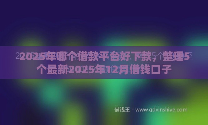 2025年哪个借款平台好下款，整理5个最新2025年12月借钱口子