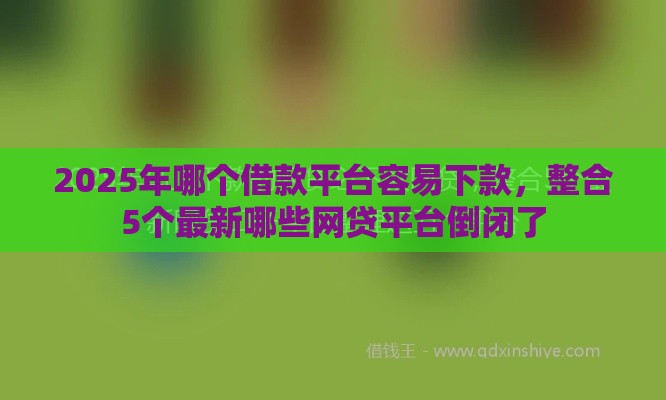 2025年哪个借款平台容易下款，整合5个最新哪些网贷平台倒闭了