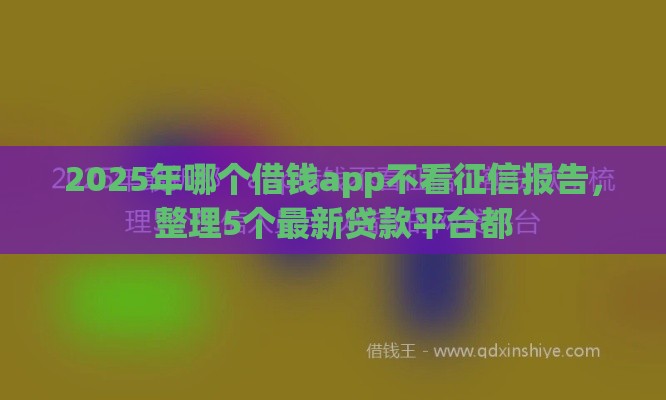 2025年哪个借钱app不看征信报告，整理5个最新贷款平台都