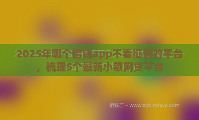 2025年哪个借钱app不看征信的平台，梳理5个最新小额网贷平台