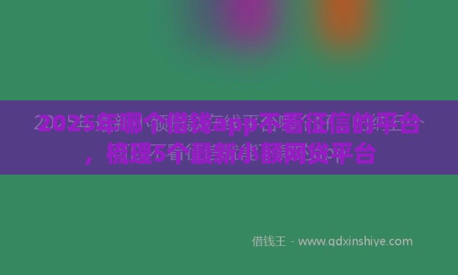 2025年哪个借钱app不看征信的平台，梳理5个最新小额网贷平台
