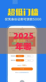 2025年哪个借钱app不看征信记录，分享5个最新学生小额贷款平台