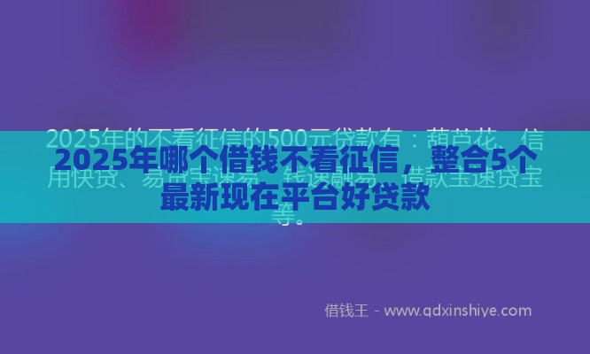 2025年哪个借钱不看征信，整合5个最新现在平台好贷款