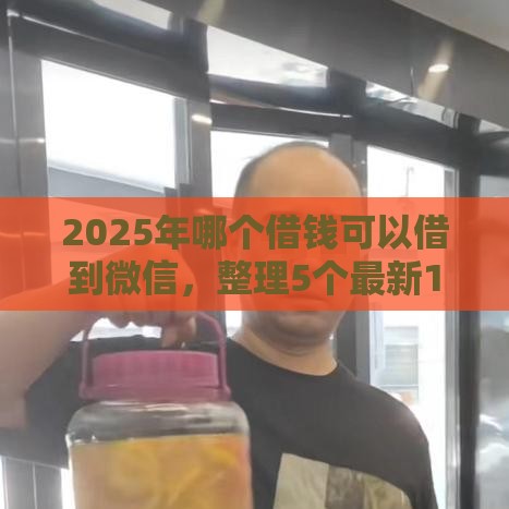 2025年哪个借钱可以借到微信，整理5个最新1000口子秒下